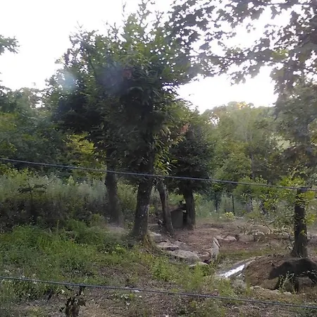 Villino In The Hearth Of Tuscany, Quiet Unforgettable Place. * Poppi